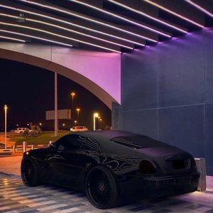 光头哥后入星野在哪里看
