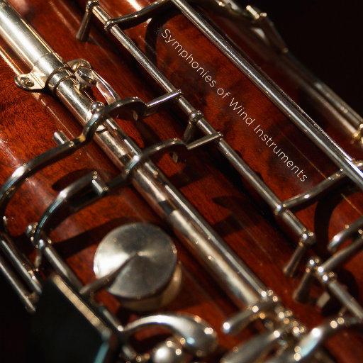 光头哥后入星野在哪里看
